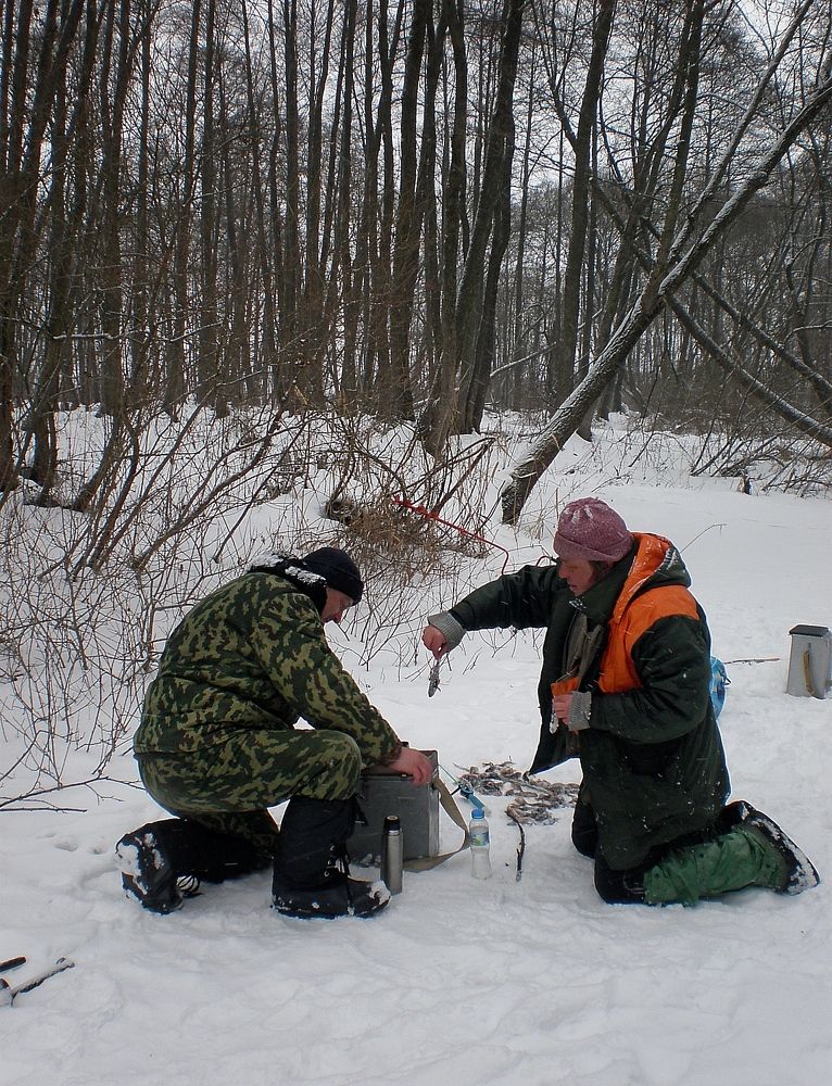 Photograph by Савоцкий Роман