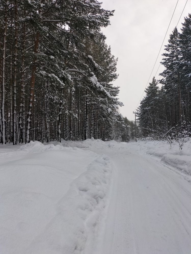 Фотография автора Максим Гафнер
