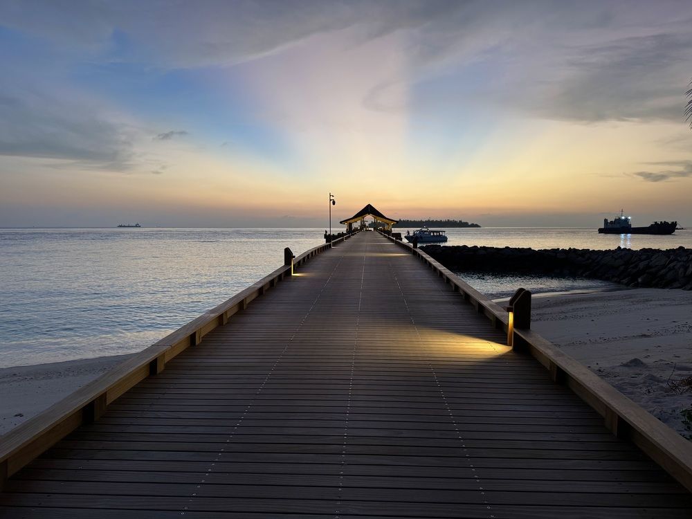 Photograph by Manoj Kumar singh