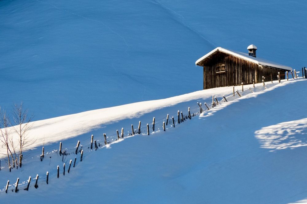 Фотография автора Emi D