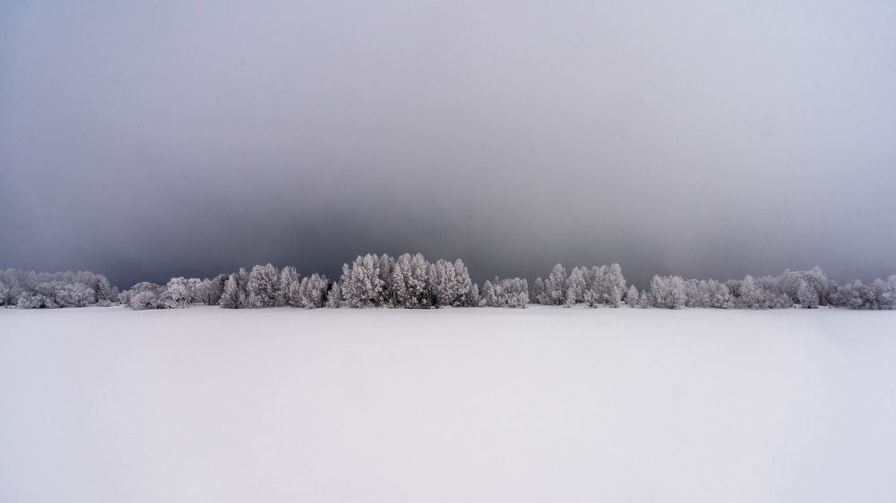 Фотография автора Андрей Ткаченко