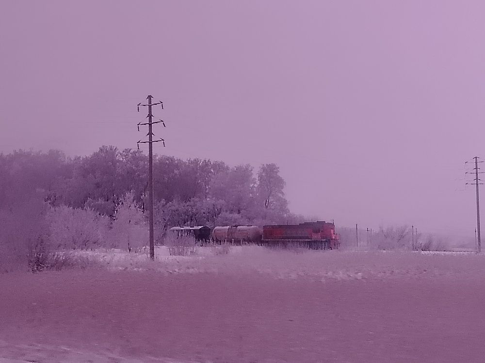 Photo #11729668