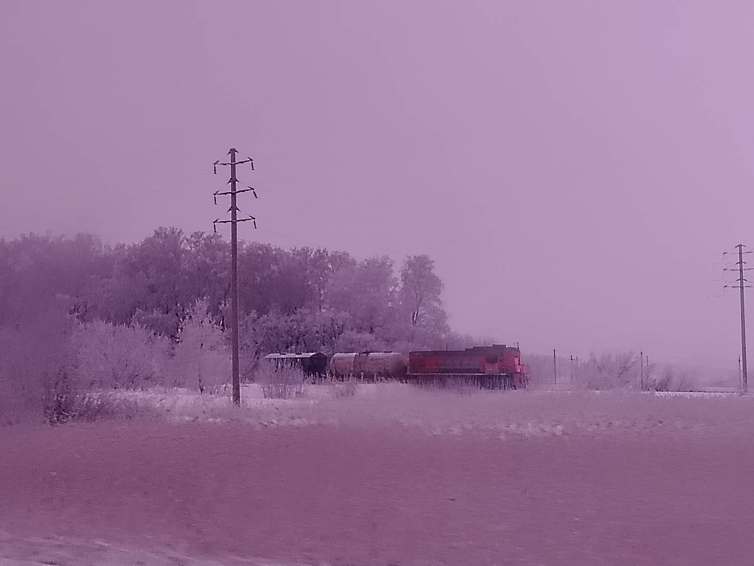 Photo #11729668