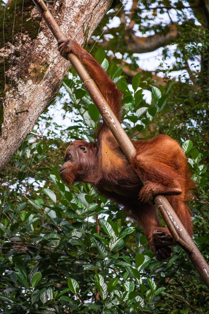 Photograph by Наталья Кокорина