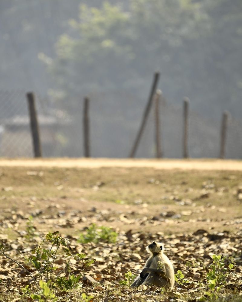 Фотография автора Aryaman Dhiman