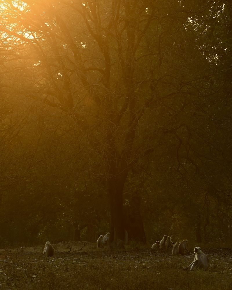 Photograph by Aryaman Dhiman