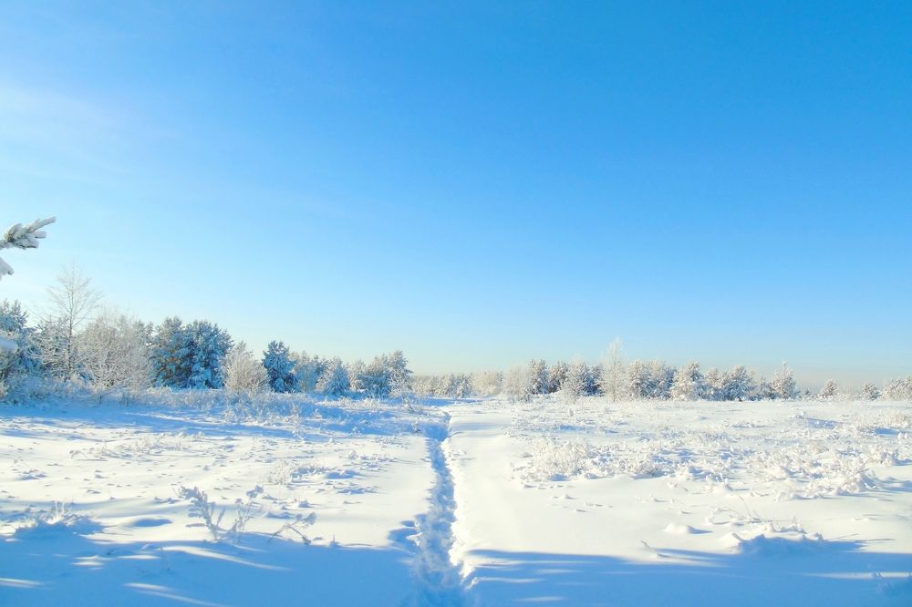 Фотография автора Екатерина Солохина