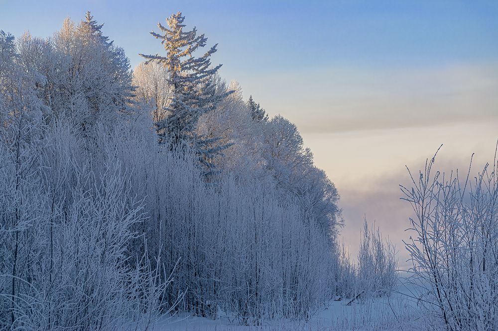 Photograph by Блохина Ольга