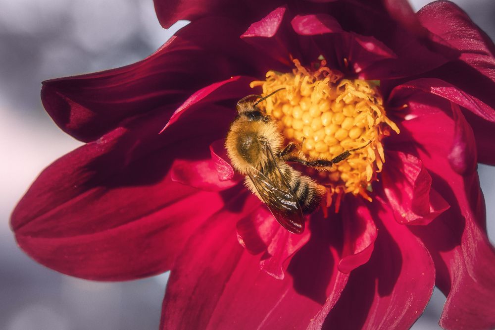 Photograph by Дмитрий Огольцов