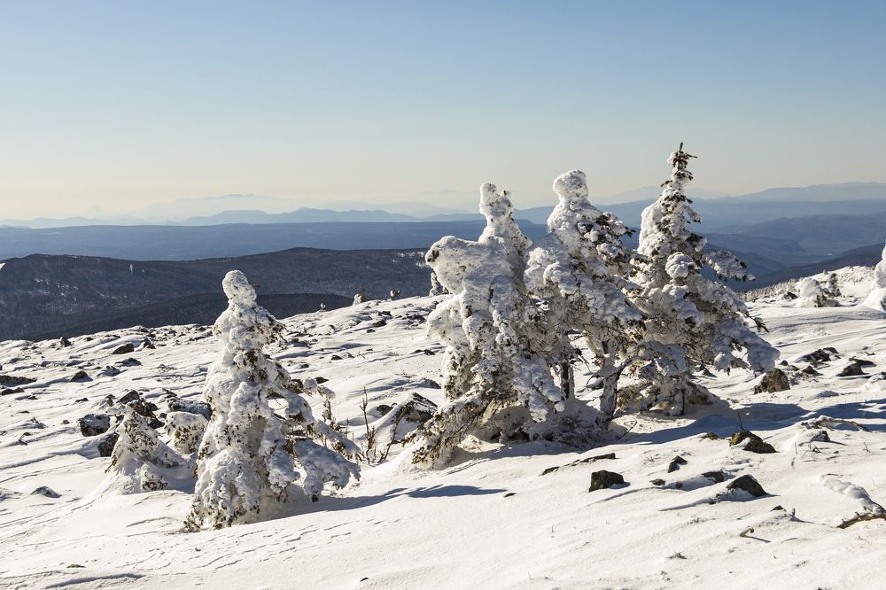 Photograph by Sergey Tsubanov