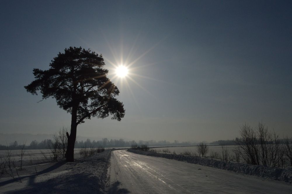 Photograph by Любовь Старовойтова