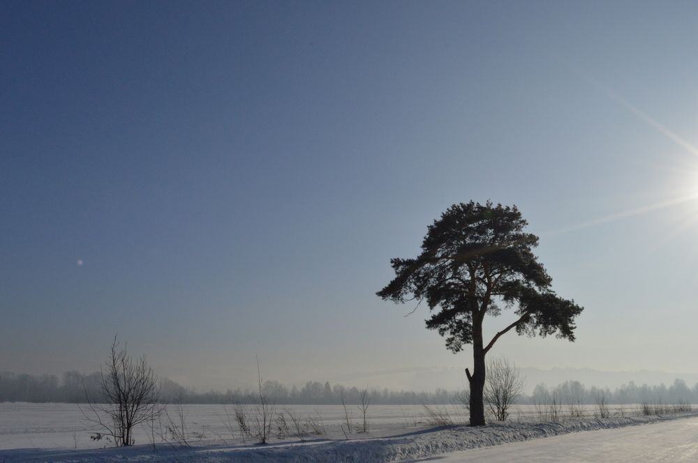 Photograph by Любовь Старовойтова