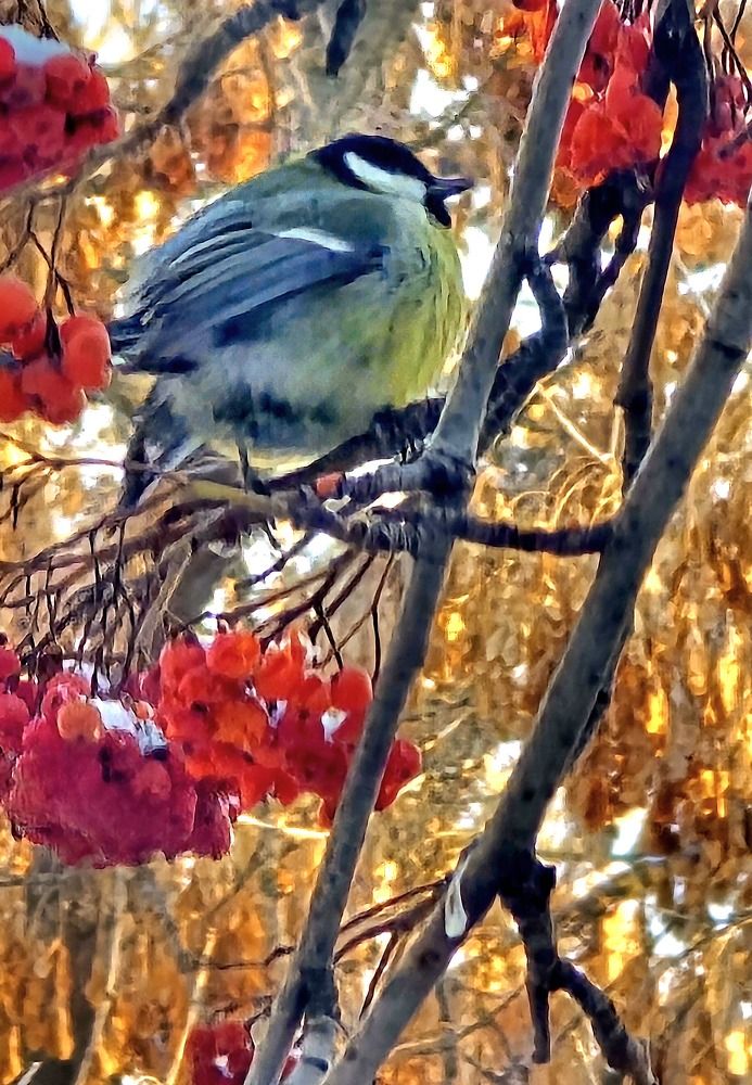 Photograph by Татьяна