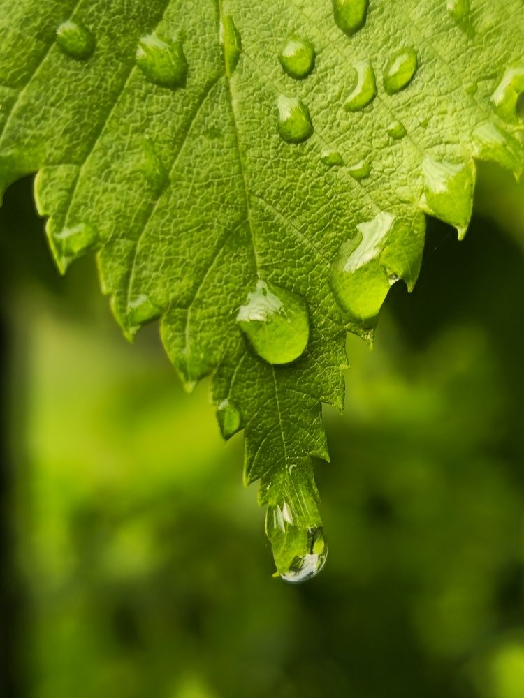 Photograph by Татьяна