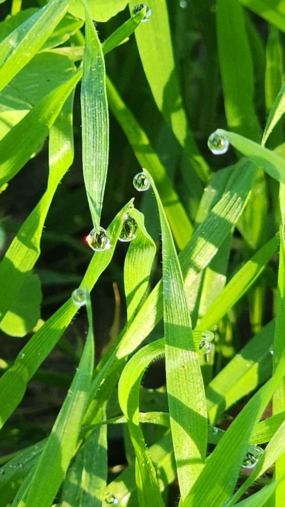 Photograph by esti lahat