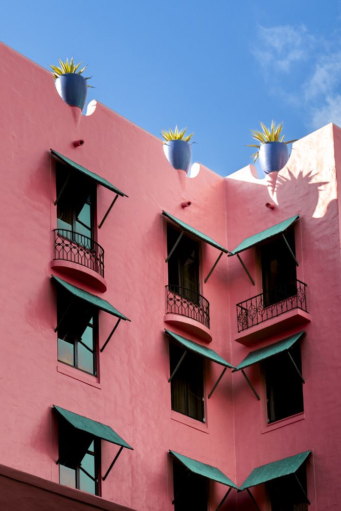 Photograph by Nakamura Kenichiro