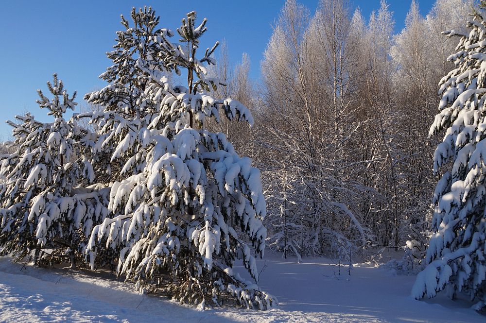 Photograph by Галина Кан