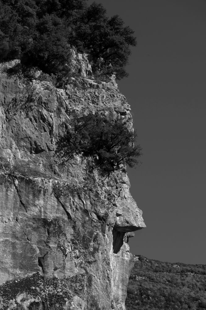 Photograph by NICK IFANTIS