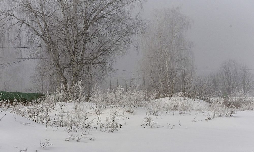 Photograph by Natalya Pazaeva
