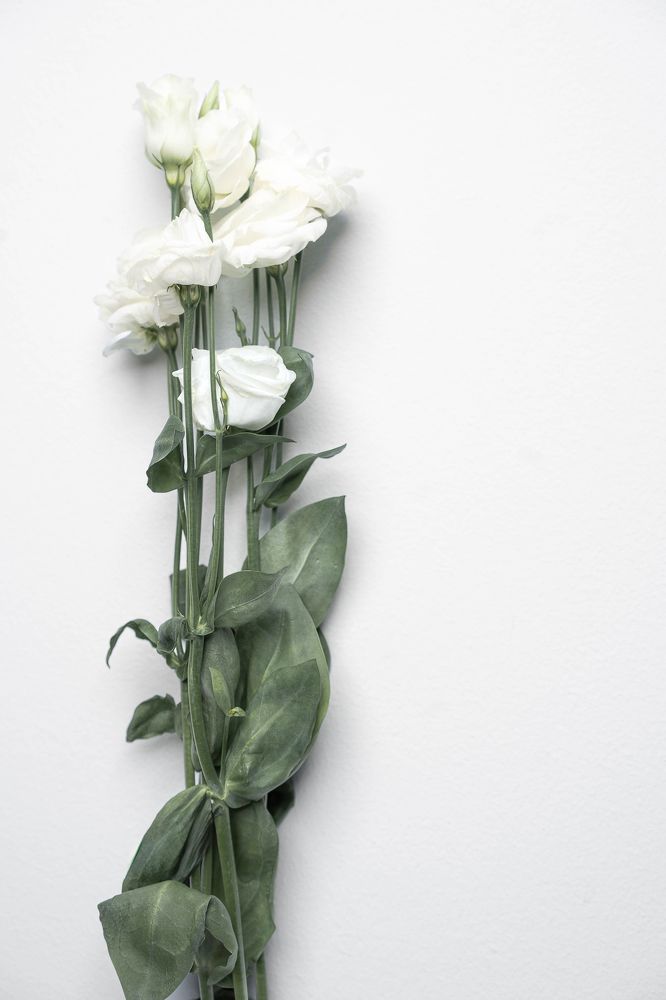 Photograph by Юлия