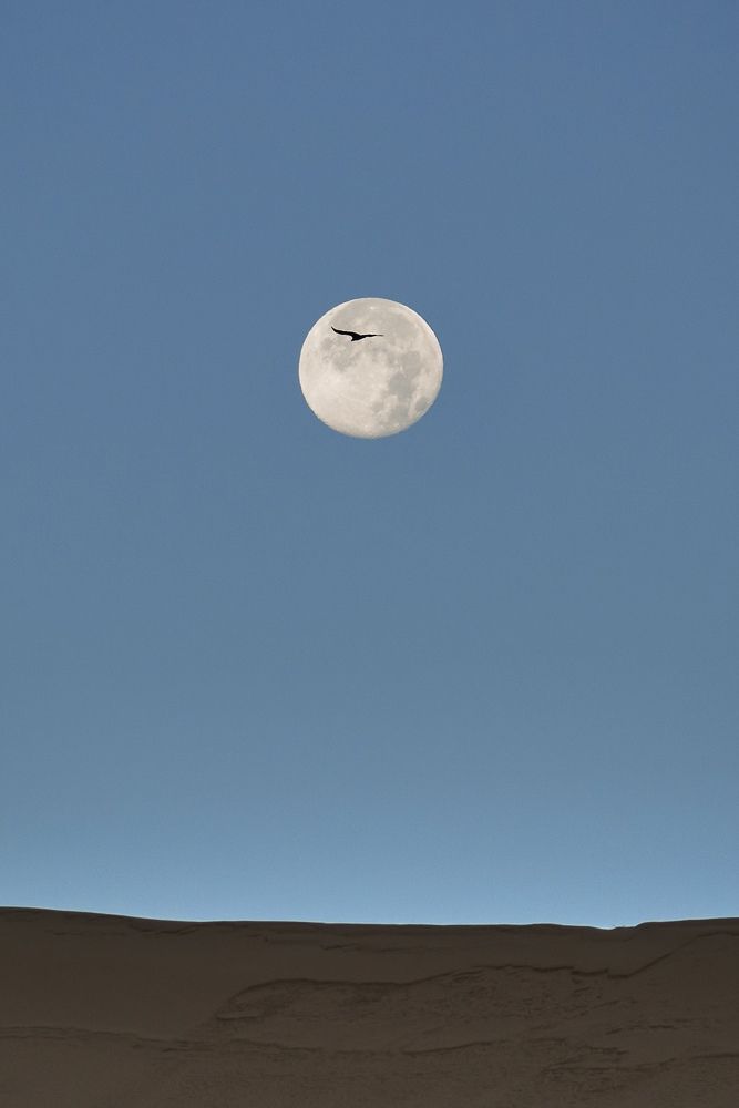 Утро над барханом