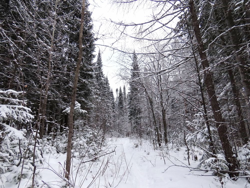 Зима на Урале