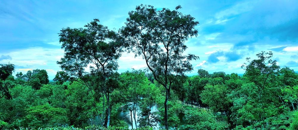 Photograph by Tanzina Ahmed