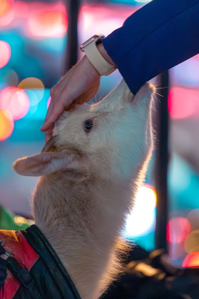 Photograph by Siarhei Saladukhin