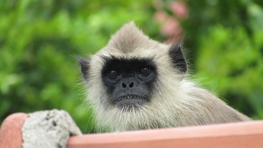 Photograph by Yogarajah Jathumilan