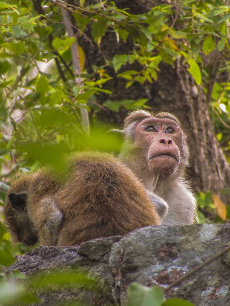 Photograph by Yogarajah Jathumilan