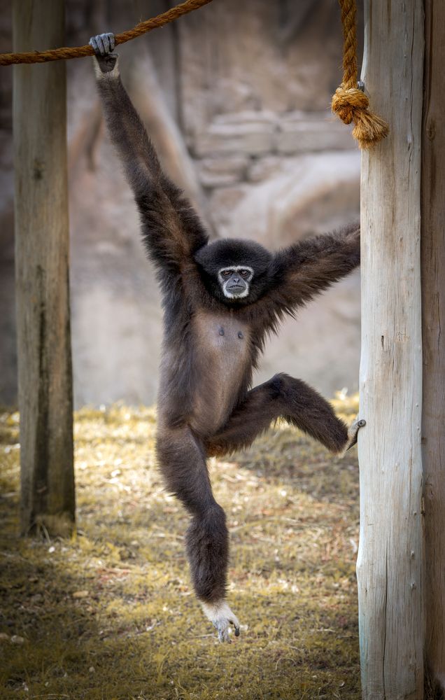 Photograph by Татьяна Горбачева Маментьева