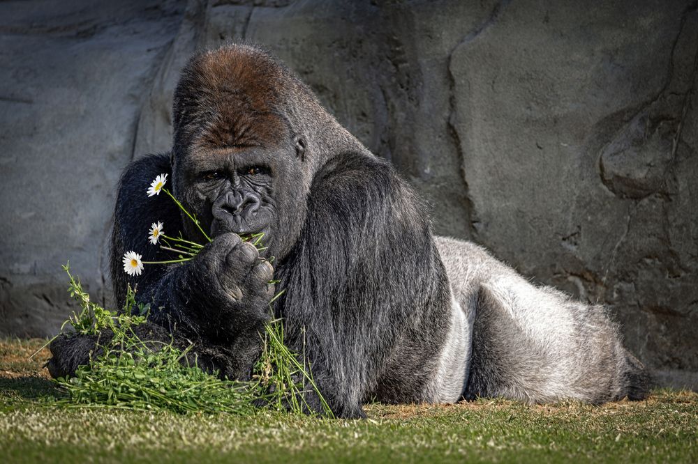 Photograph by Татьяна Горбачева Маментьева
