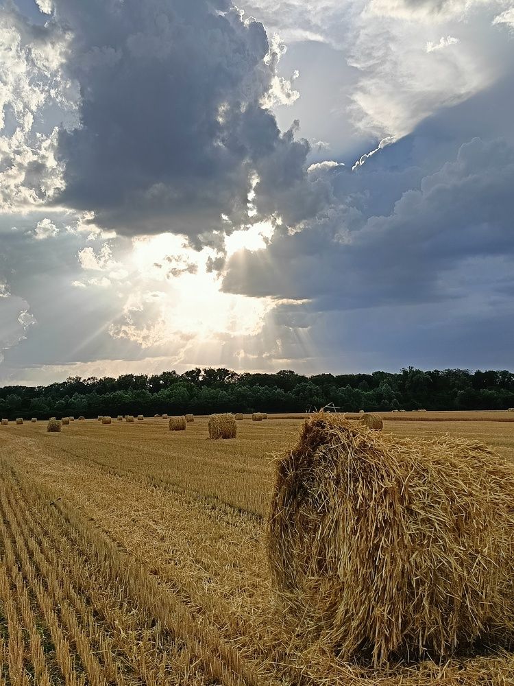 Перед грозой