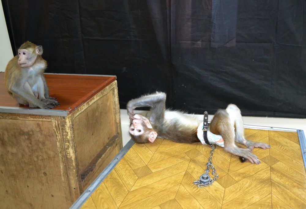 Photograph by Людмила Скочилова