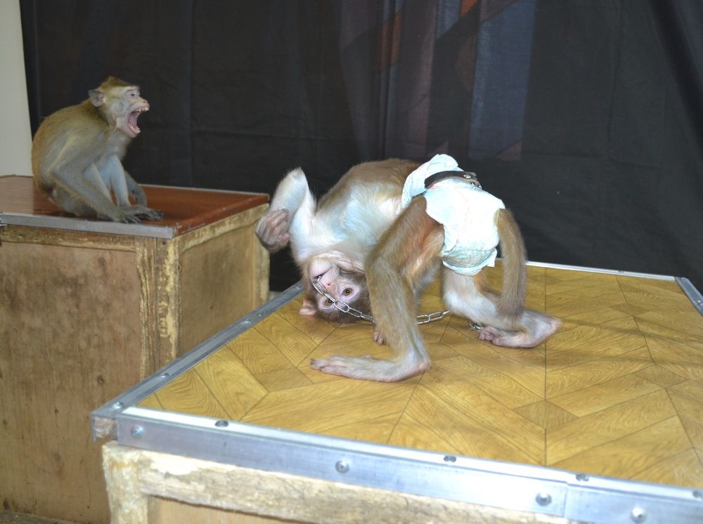 Photograph by Людмила Скочилова