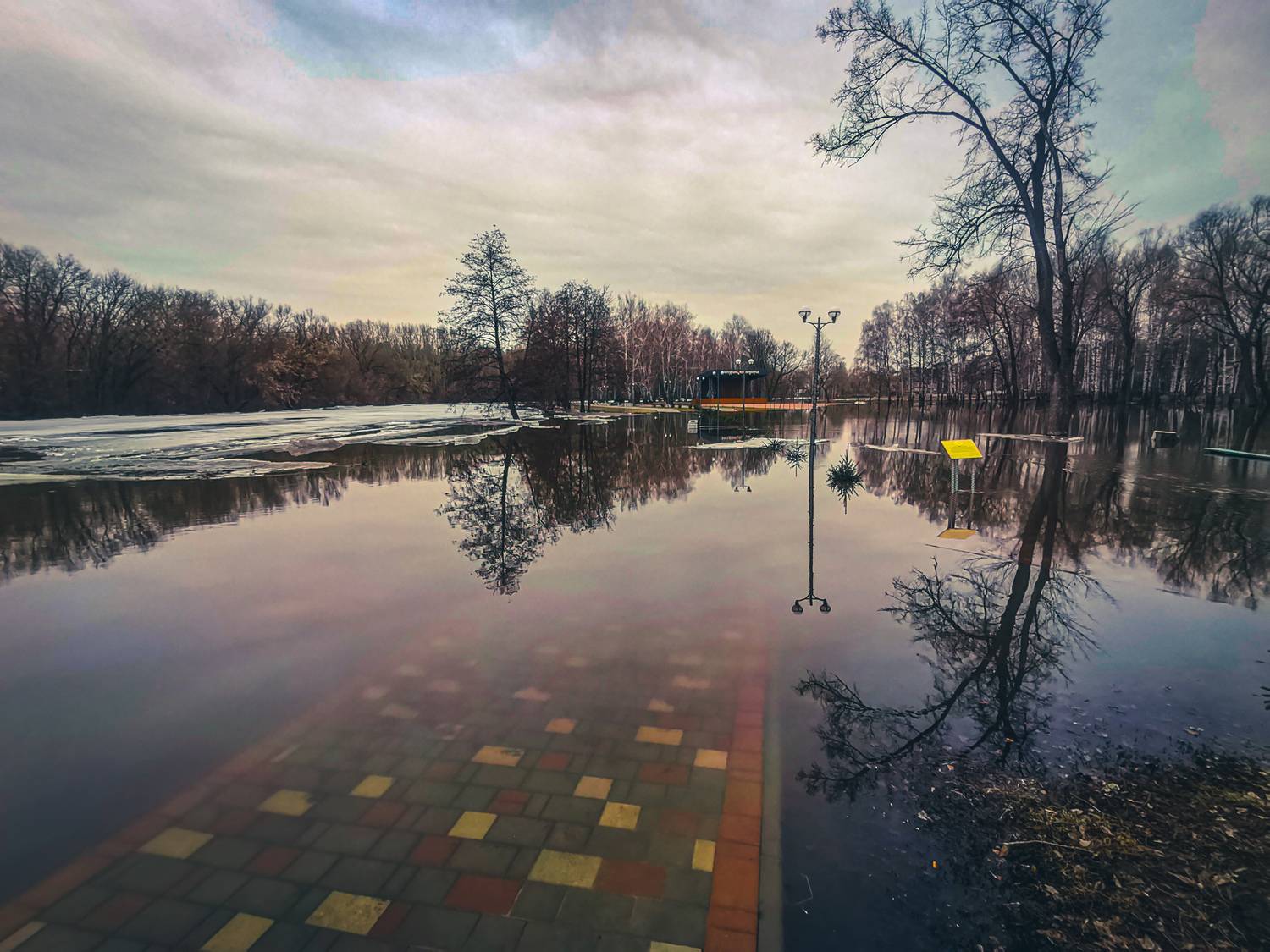 Photo #11730096