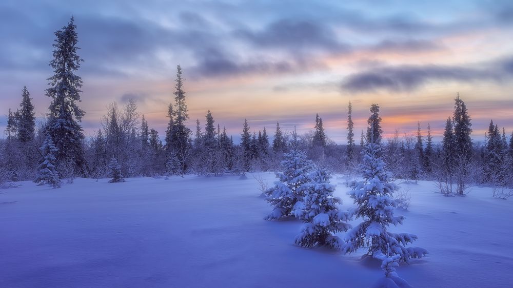 В январских сумерках