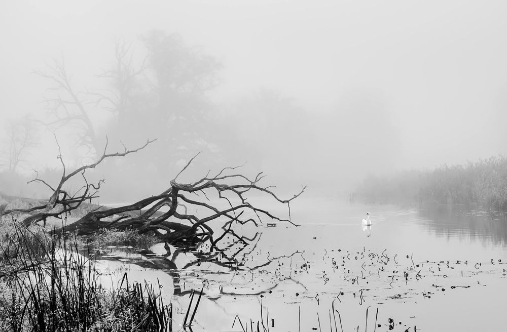 Photograph by Marian Skąpski