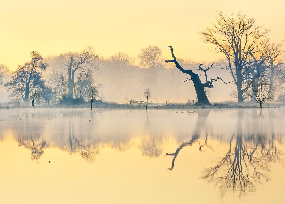 Photograph by Marian Skąpski