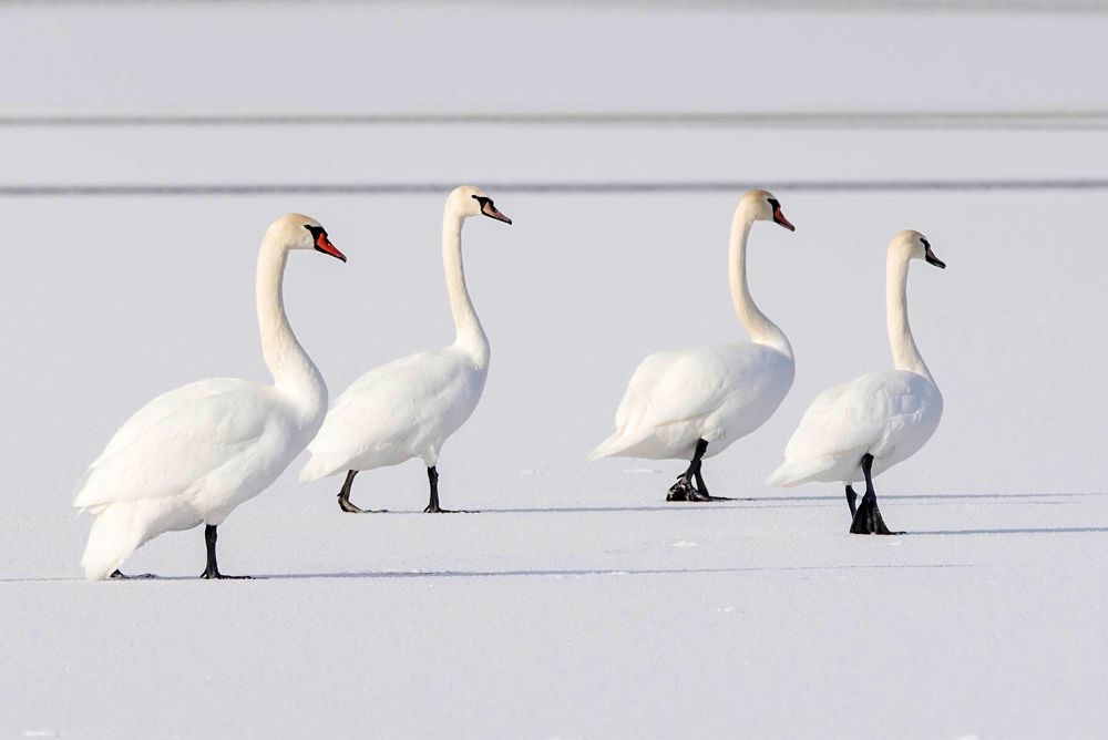 Photograph by Хасан Журтов