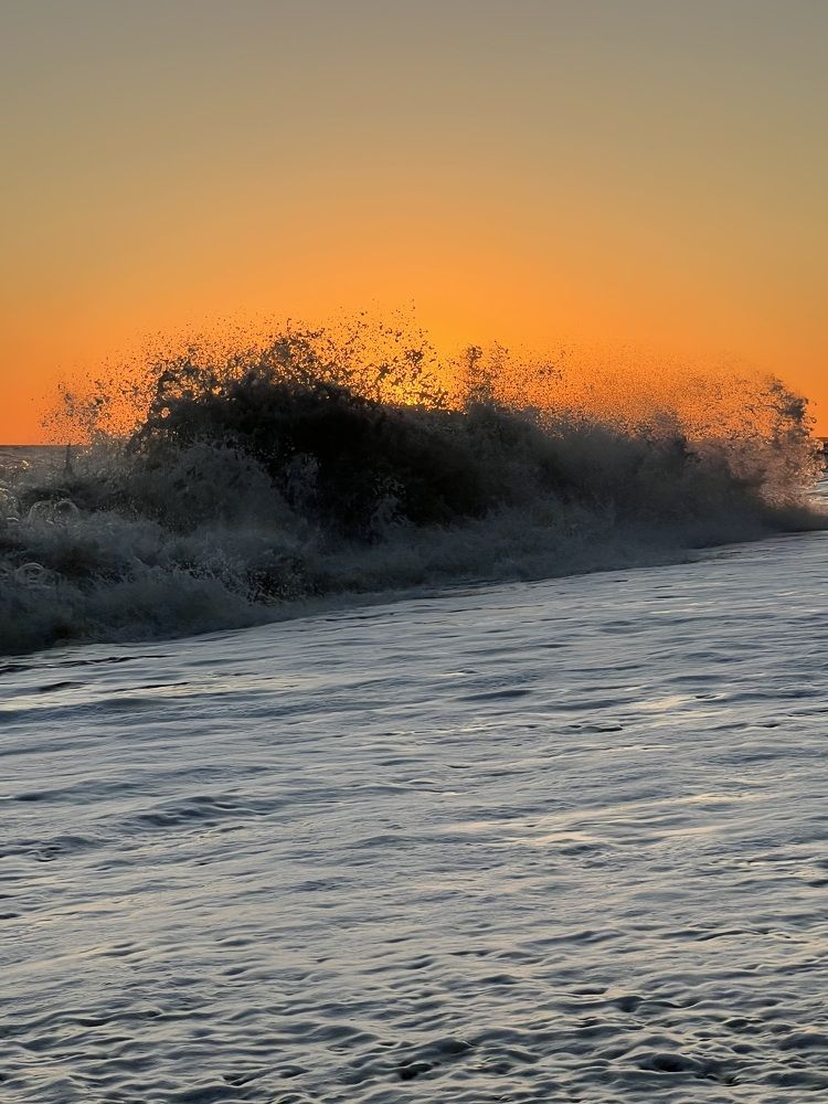 Фотография автора Юлия Недосекина