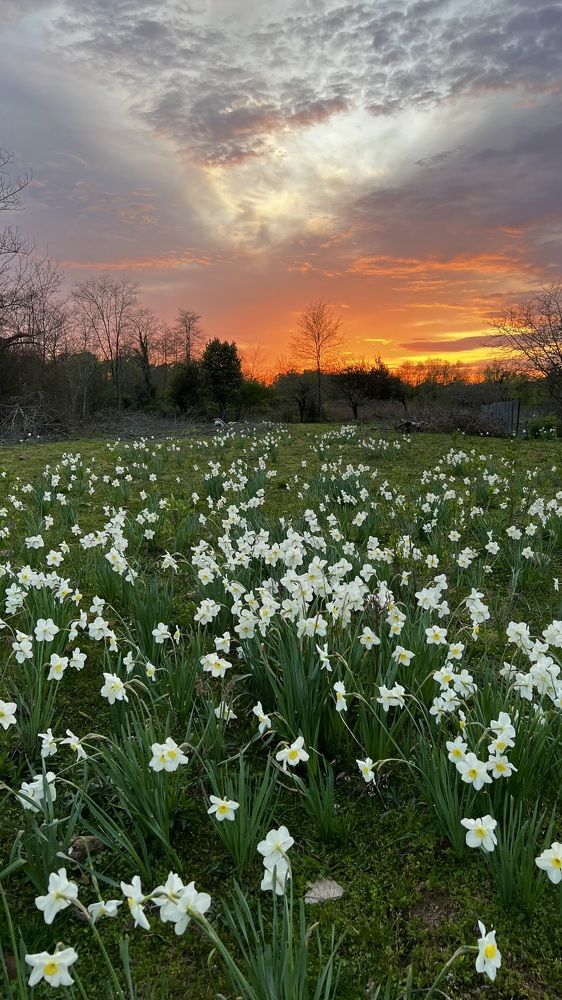 Фотография автора Юлия Недосекина