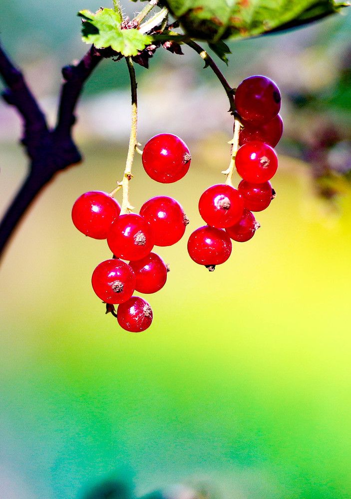 Photograph by Дмитрий Поляков