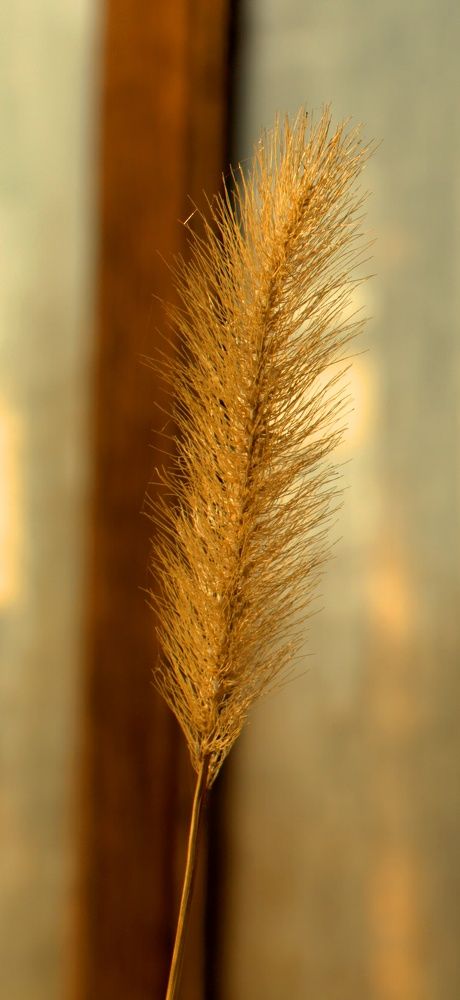 Photograph by Олег Хамуев