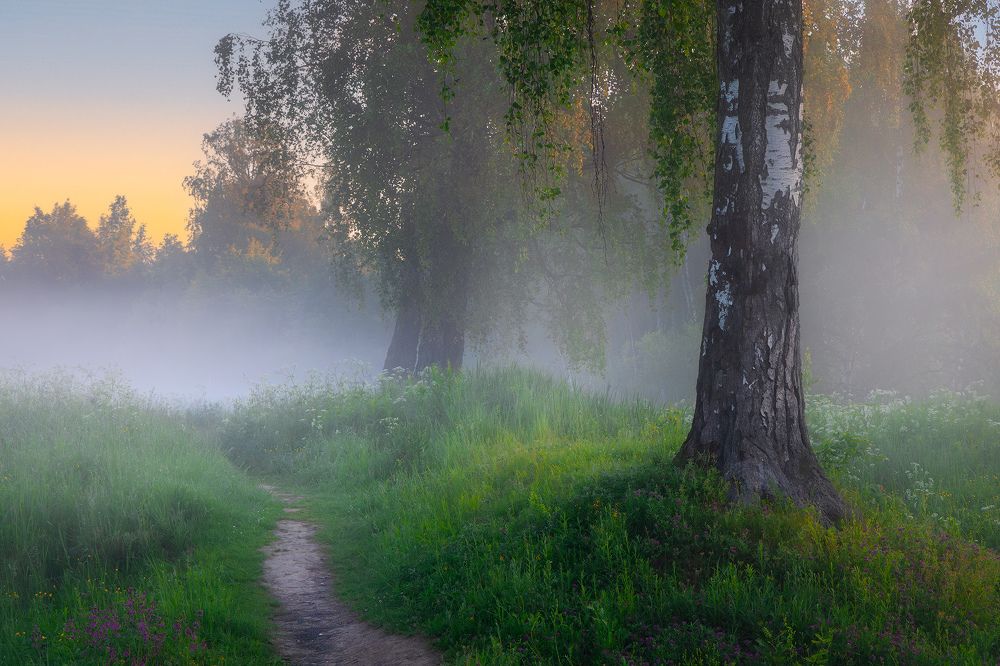 Photograph by Костенко Александр