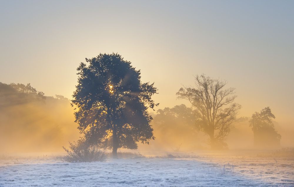 Photograph by Marian Skąpski