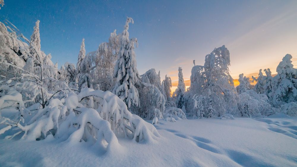 Photograph by Коровин Кирилл