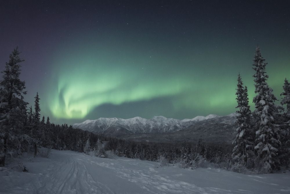 Фотография автора Мигунов Даниил