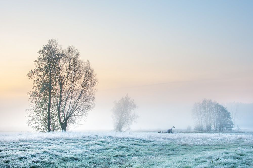 Photograph by Marian Skąpski