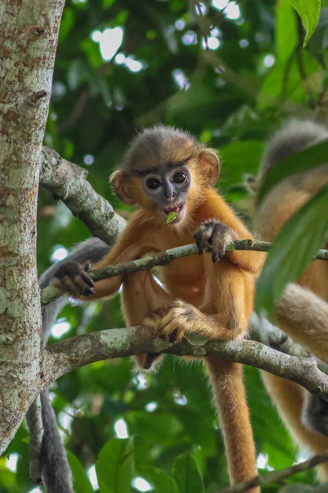 Photograph by Mohammad Hasan